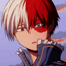 shoto todoroki